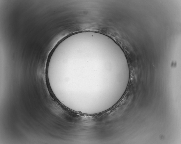X0000103940052200809191426