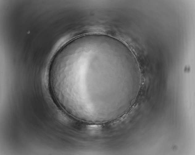 X0000103940053200809191426