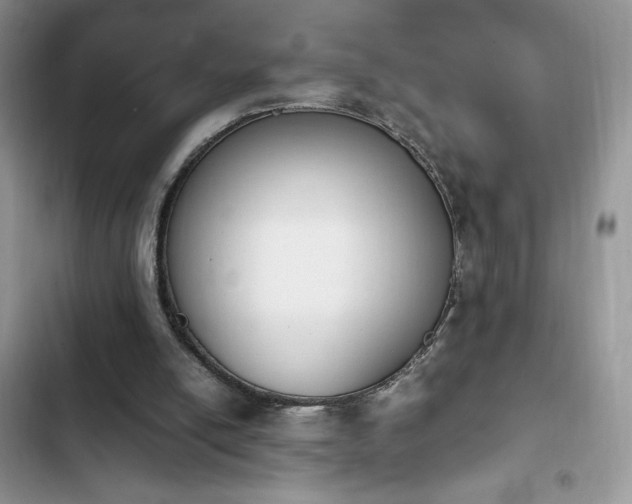 X0000103940054200809191426
