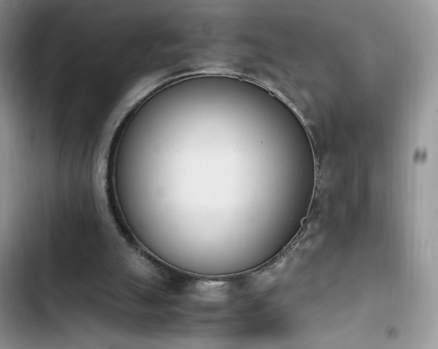 X0000103940055200809191426