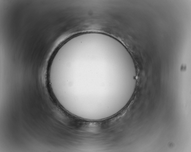 X0000103940056200809191426