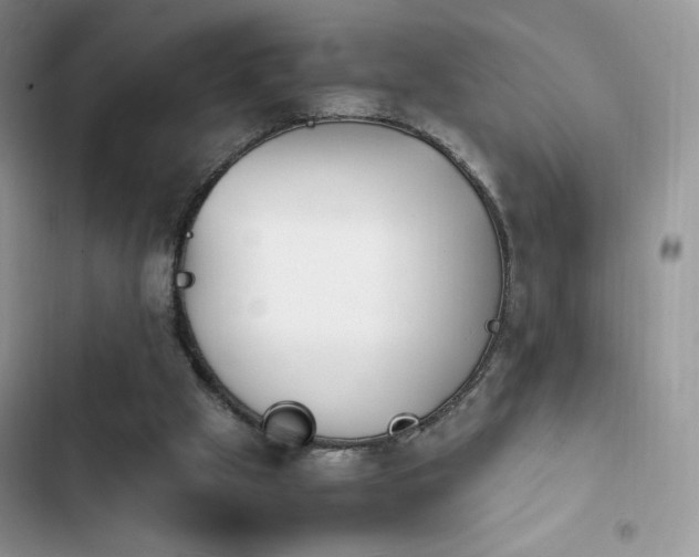 X0000103940057200809191426
