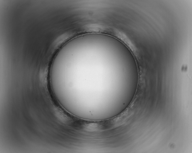 X0000103940058200809191426