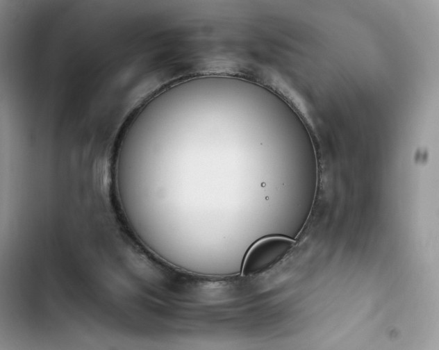 X0000103940059200809191426