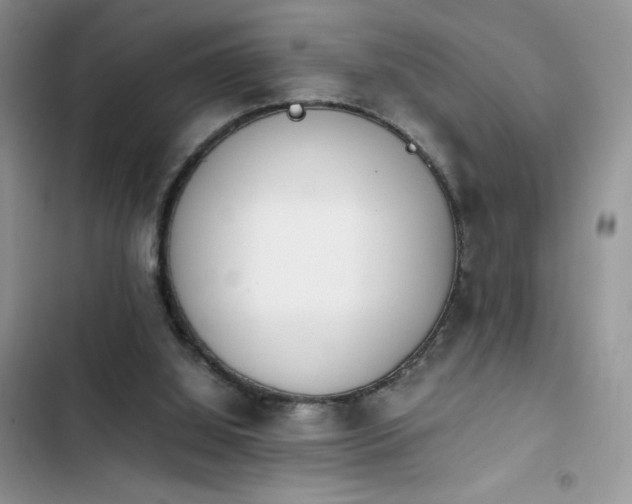 X0000103940060200809191426