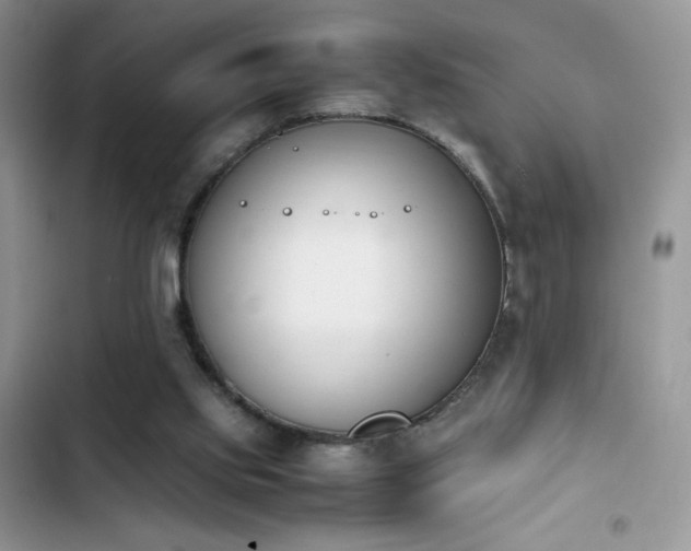 X0000103940061200809191426