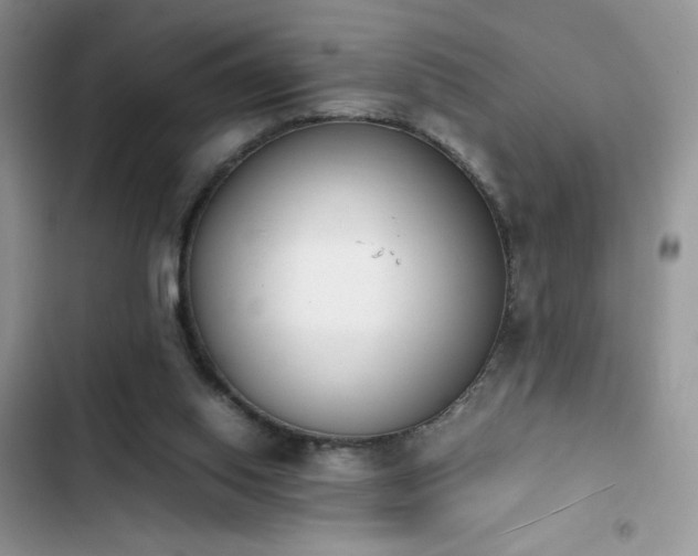 X0000103940062200809191427