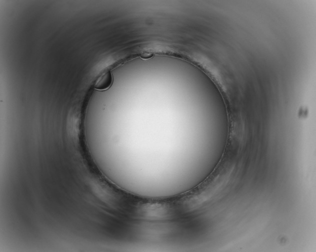 X0000103940063200809191427