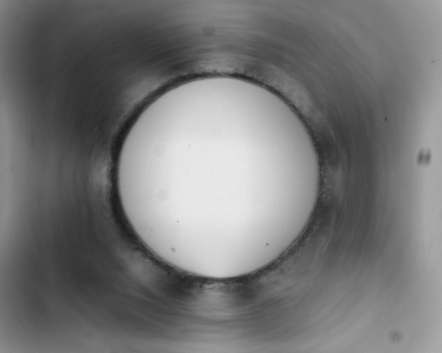 X0000103940064200809191427