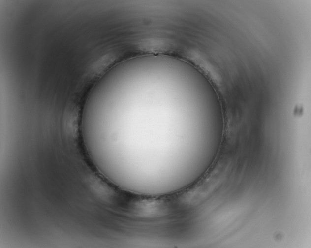 X0000103940065200809191427