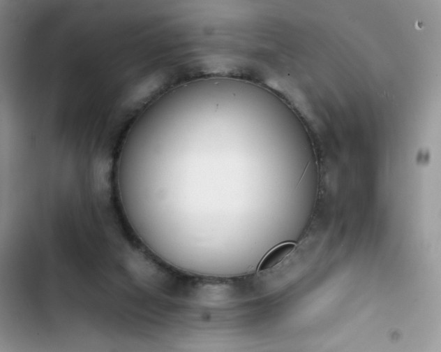 X0000103940066200809191427