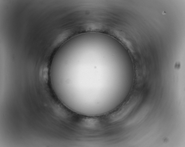 X0000103940067200809191427