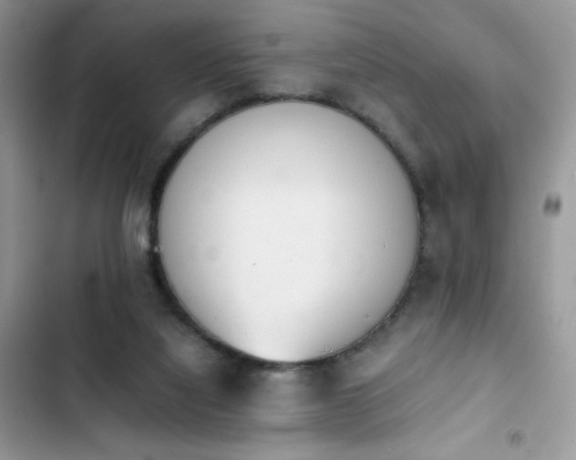 X0000103940068200809191427
