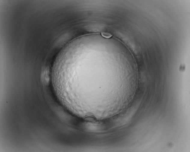 X0000103940069200809191427