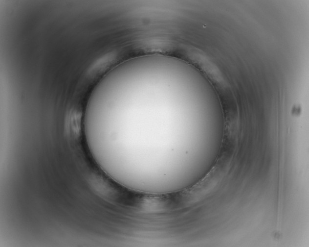 X0000103940070200809191427