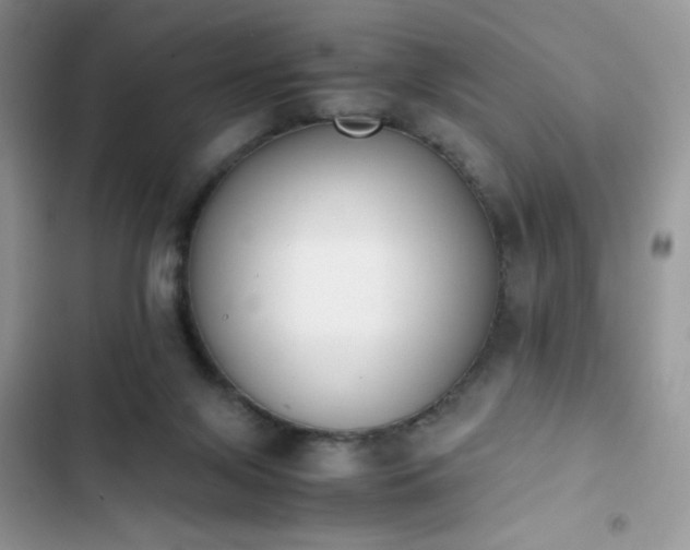 X0000103940071200809191427