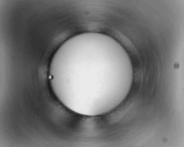 X0000103940072200809191427
