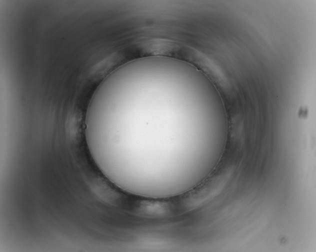 X0000103940073200809191427