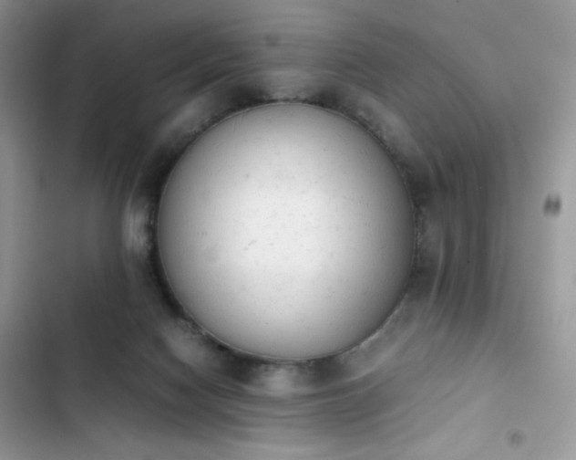 X0000103940074200809191427