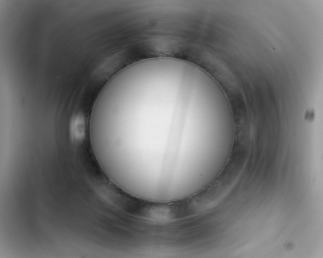 X0000103940075200809191427