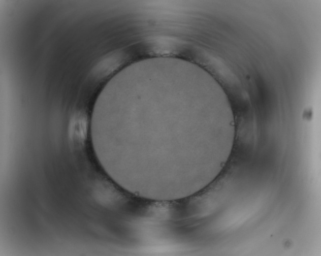 X0000103940076200809191427