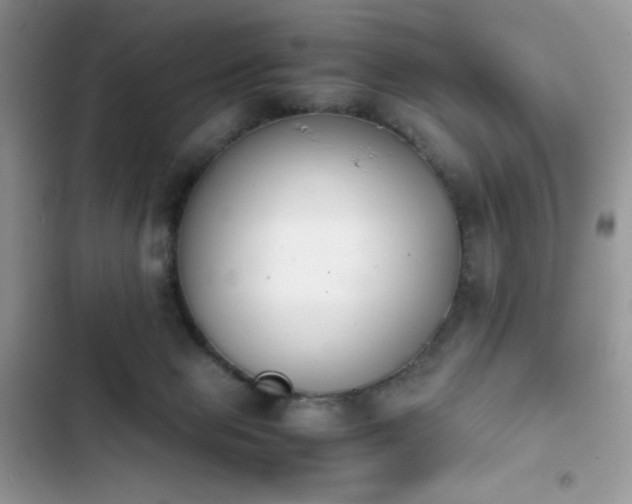 X0000103940077200809191427