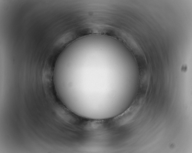 X0000103940078200809191427