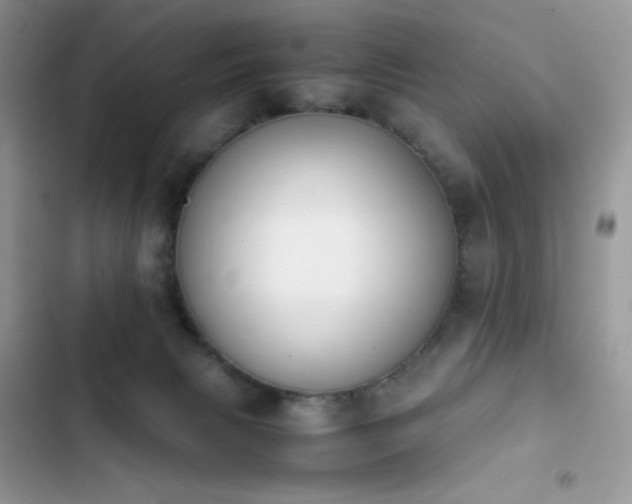 X0000103940079200809191427