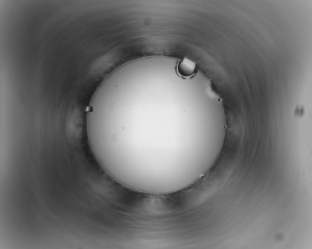 X0000103940080200809191427
