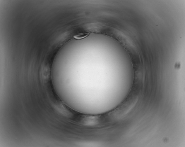 X0000103940081200809191427