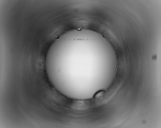 X0000103940083200809191427