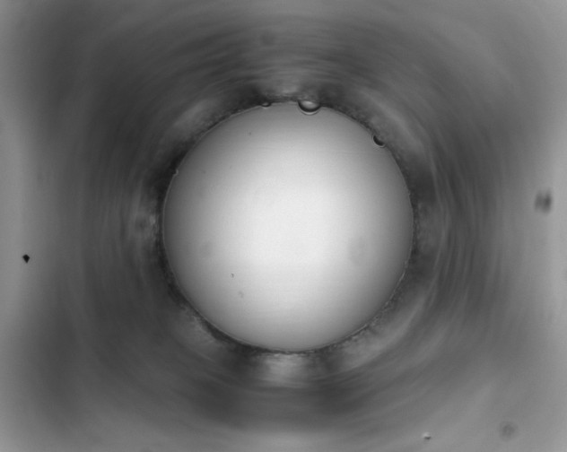 X0000103940085200809191427