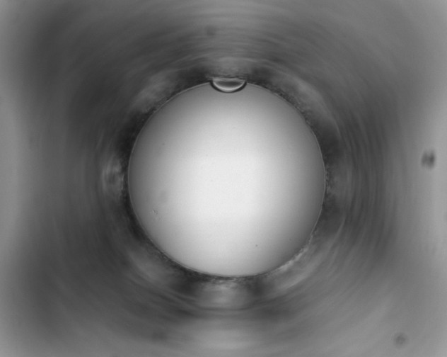 X0000103940086200809191427