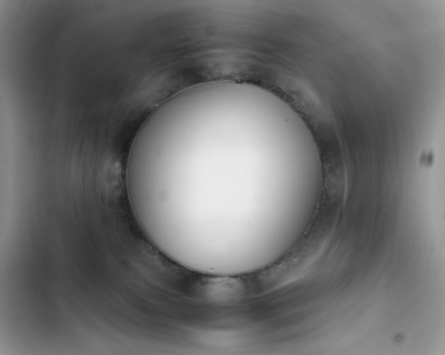 X0000103940087200809191427