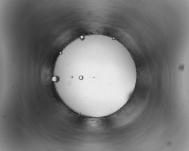 X0000103940088200809191427