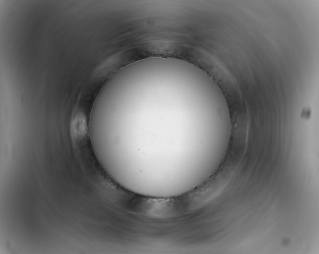 X0000103940089200809191427