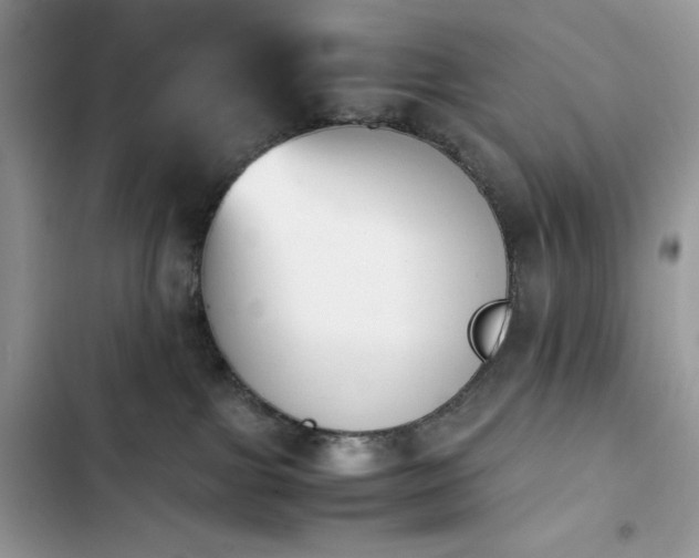 X0000103940091200809191427