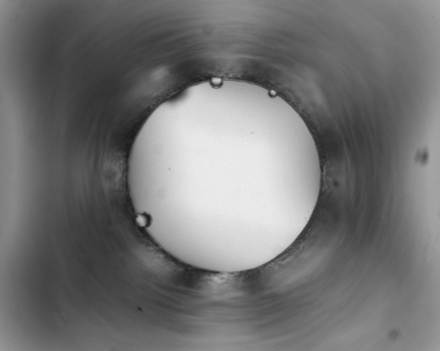 X0000103940092200809191427