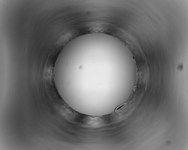 X0000103940093200809191427