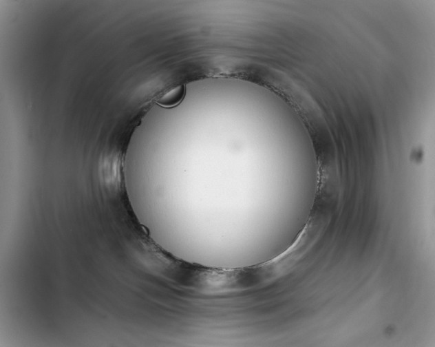 X0000103940094200809191427
