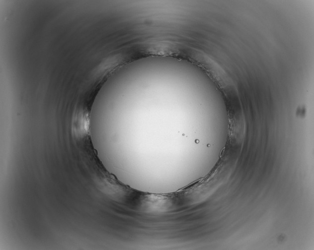 X0000103940095200809191427