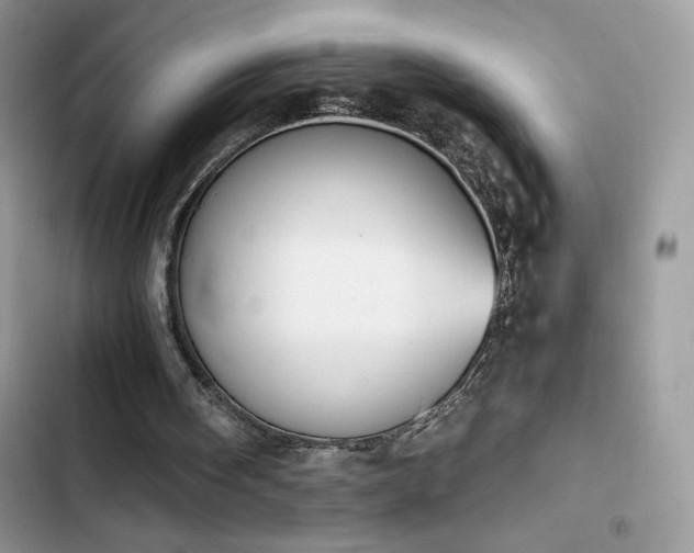 X0000103940098200809191426
