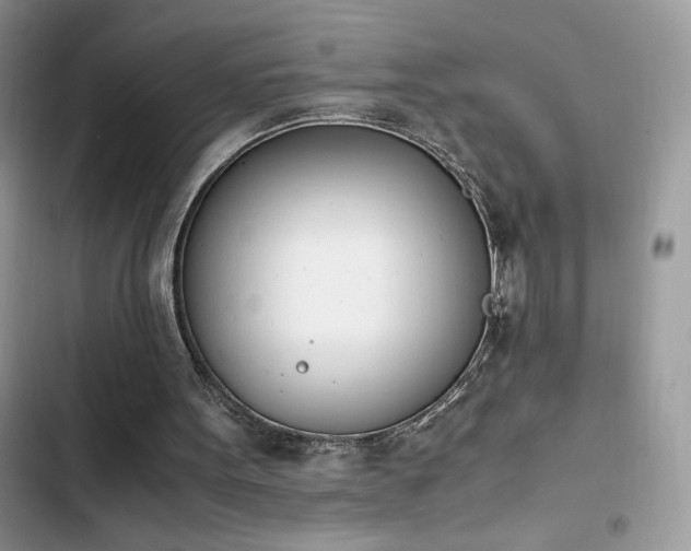 X0000103940099200809191426