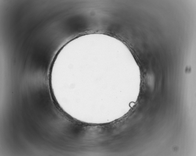 X0000103940100200809191426