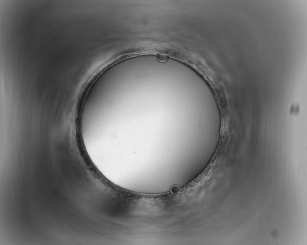 X0000103940101200809191426