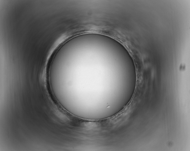 X0000103940102200809191426