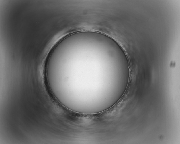 X0000103940103200809191426