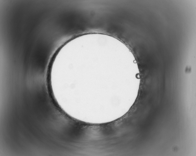 X0000103940104200809191426