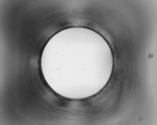 X0000103940105200809191426