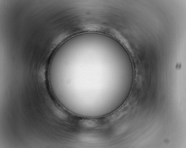 X0000103940106200809191426